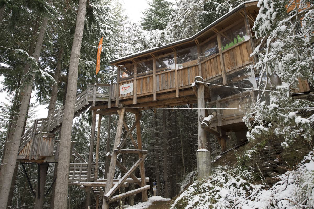 Ziptrek Ecotours Queenstown