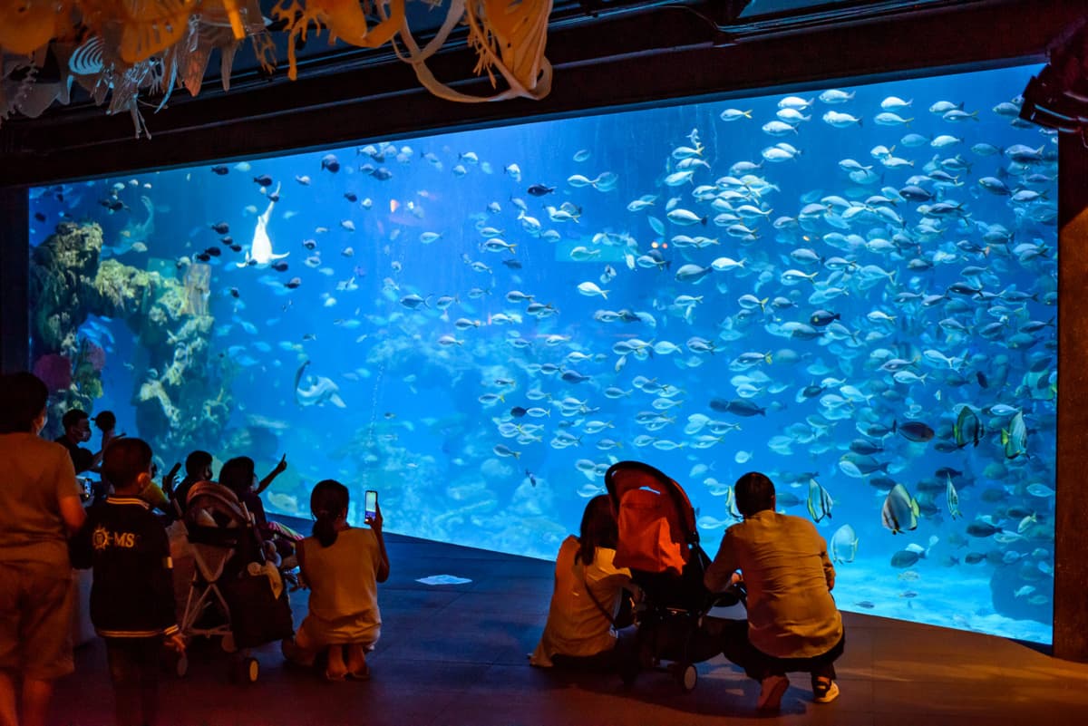 Aquaria Phuket