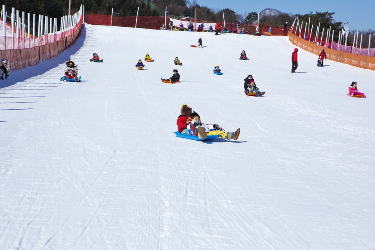 Elysian Gangchon Ski Resort and Nami Island Full-Day Tour from Seoul