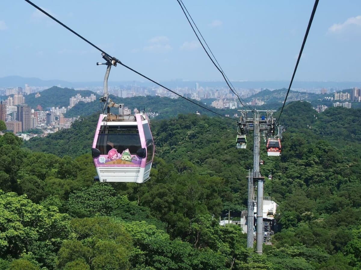 Pinglin Tea Culture and Maokong Full-Day Tour from Taipei