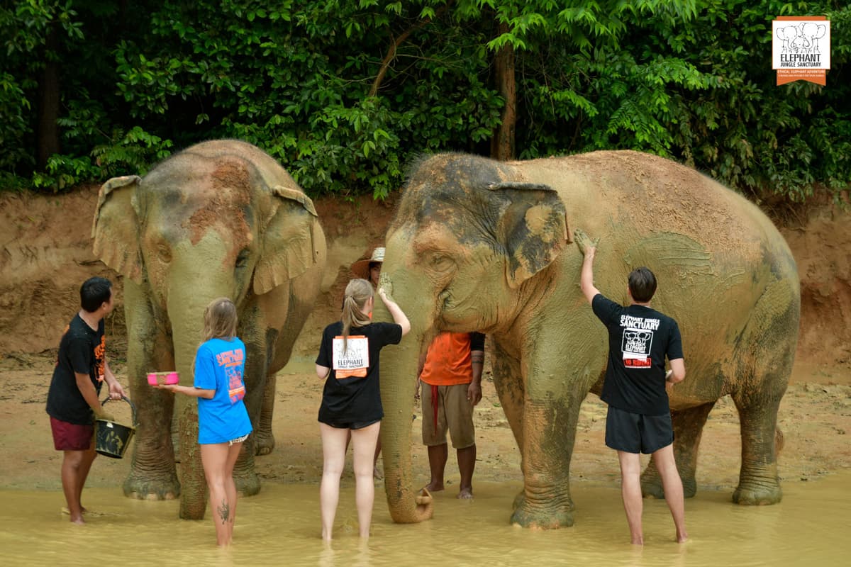 Elephant Jungle Sanctuary Phuket