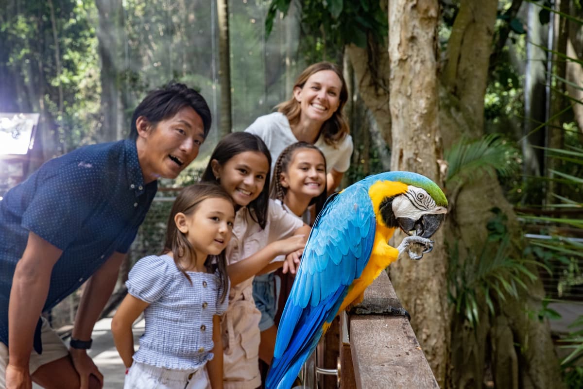 Currumbin Wildlife Sanctuary Ticket