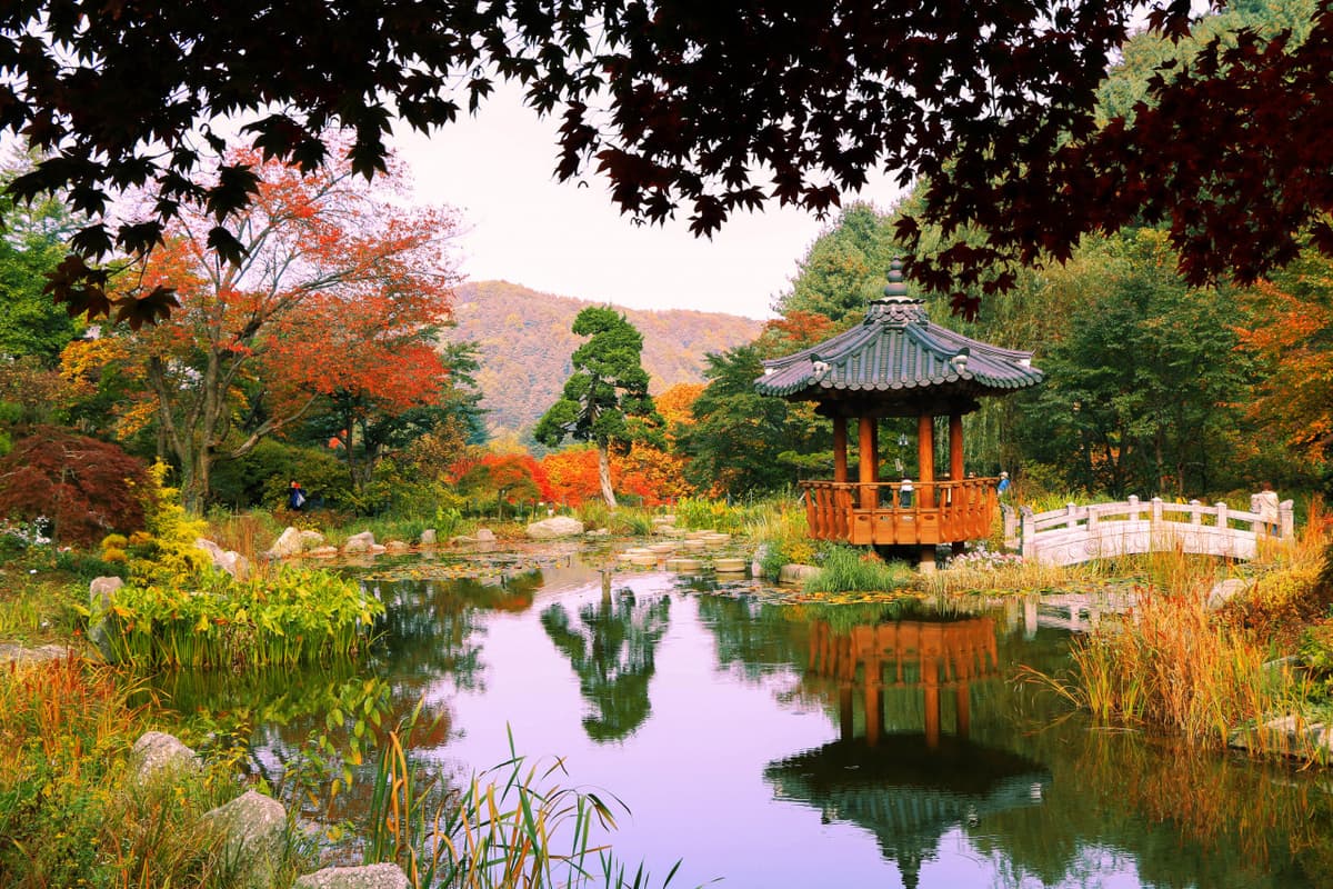 Nami Island and Garden of Morning Calm Tour from Seoul