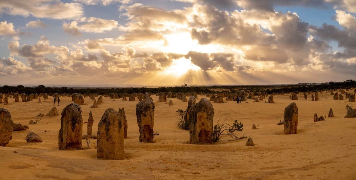 Pinnacles Desert Sunset and Stargazing Tour from Perth