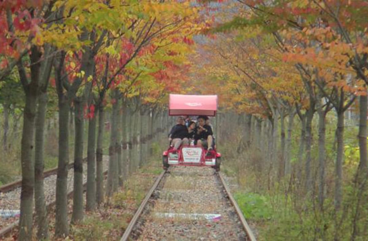 Nami Island, Petite France, Garden of Morning Calm, and Gangchon Rail Bike Tour from Seoul