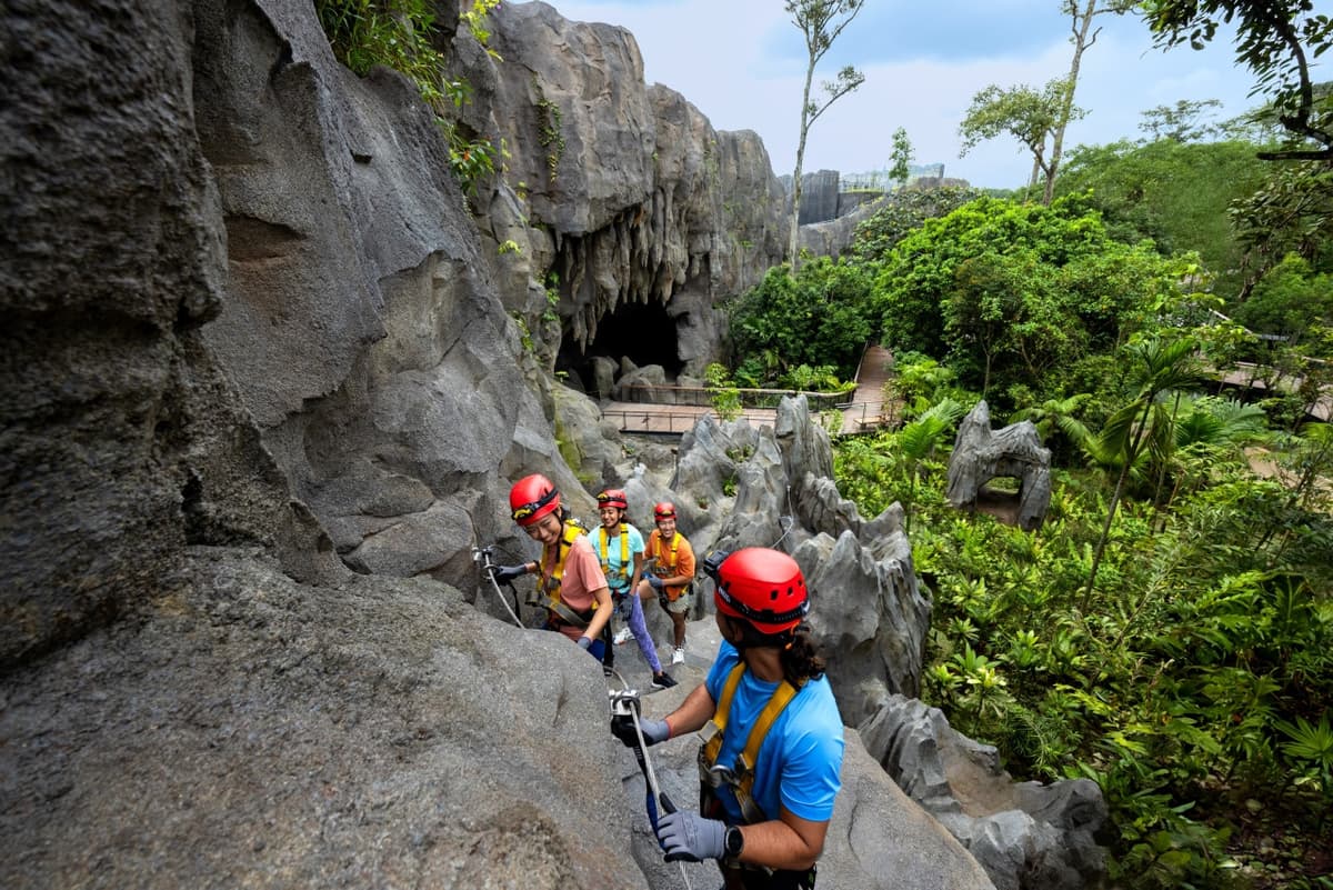 Rainforest Wild Adventure Ticket