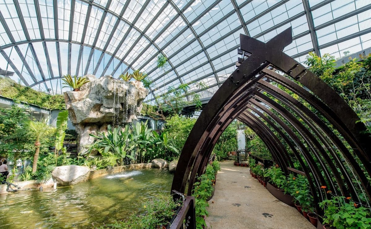 Entopia by Penang Butterfly Farm Ticket