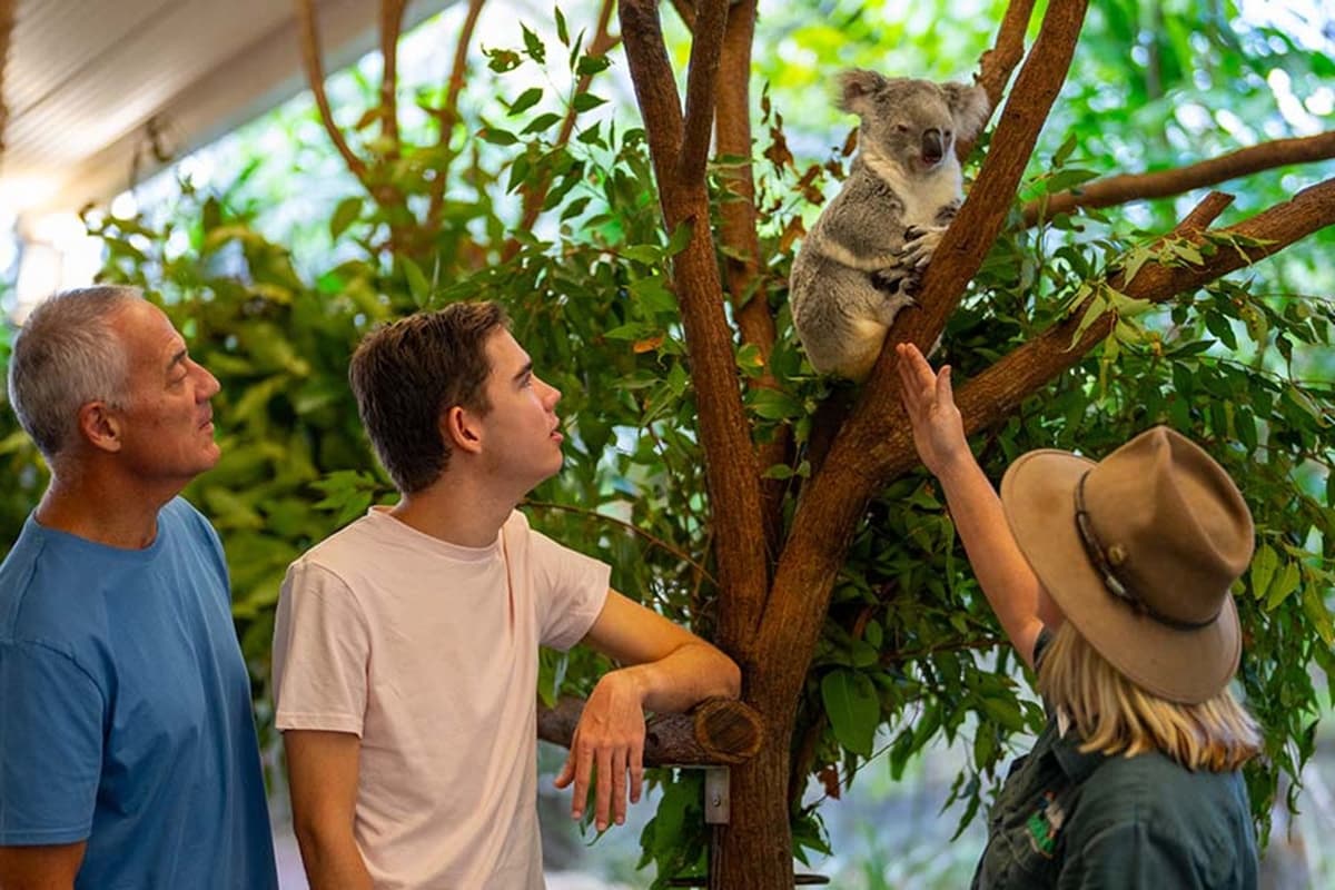 Wildlife Habitat Port Douglas Ticket