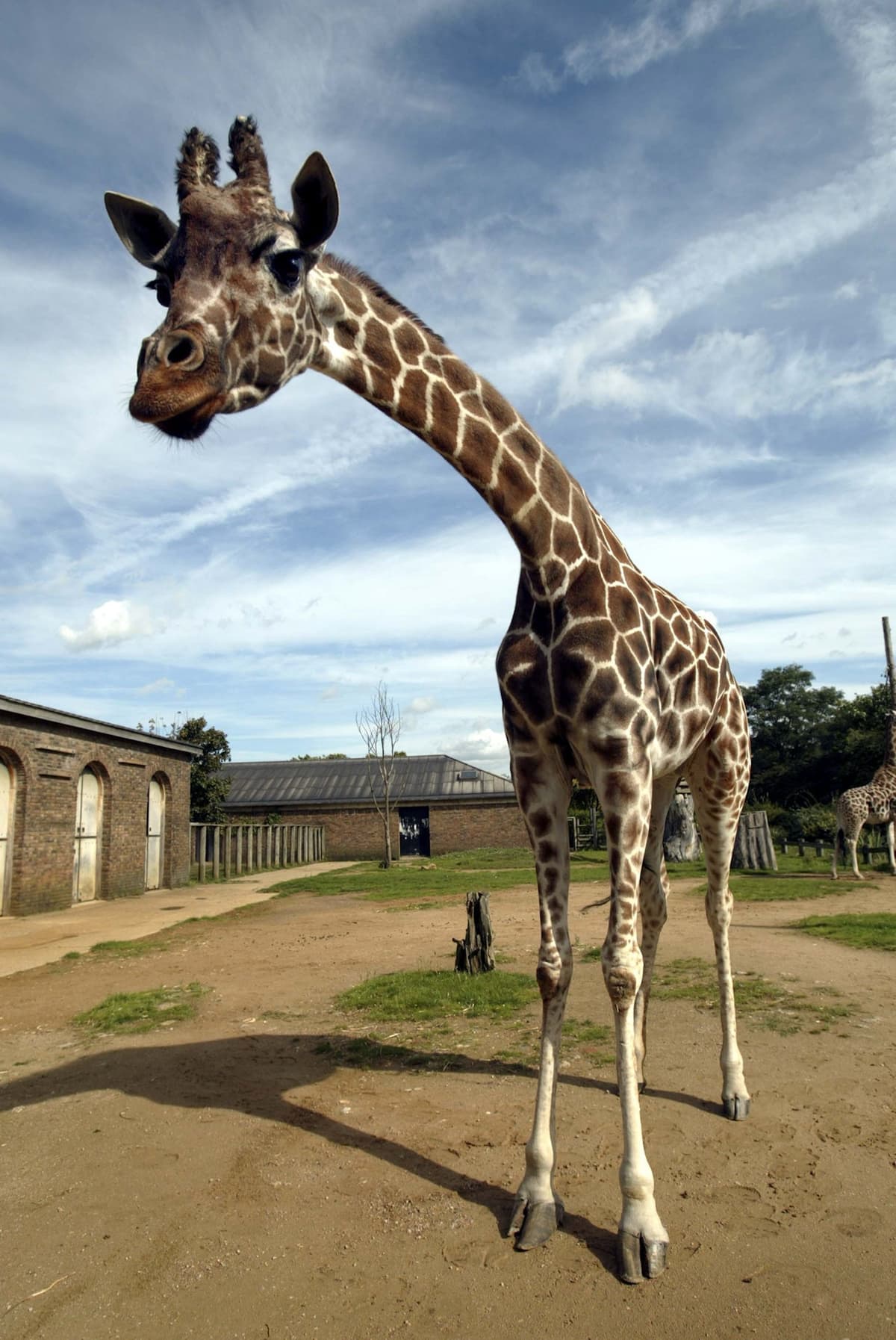 London Zoo