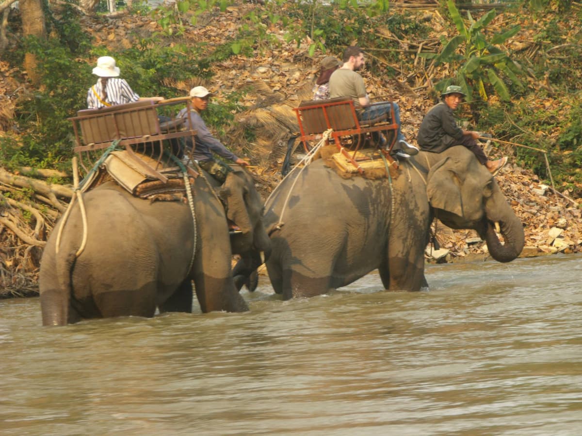Maesa Elephant Camp