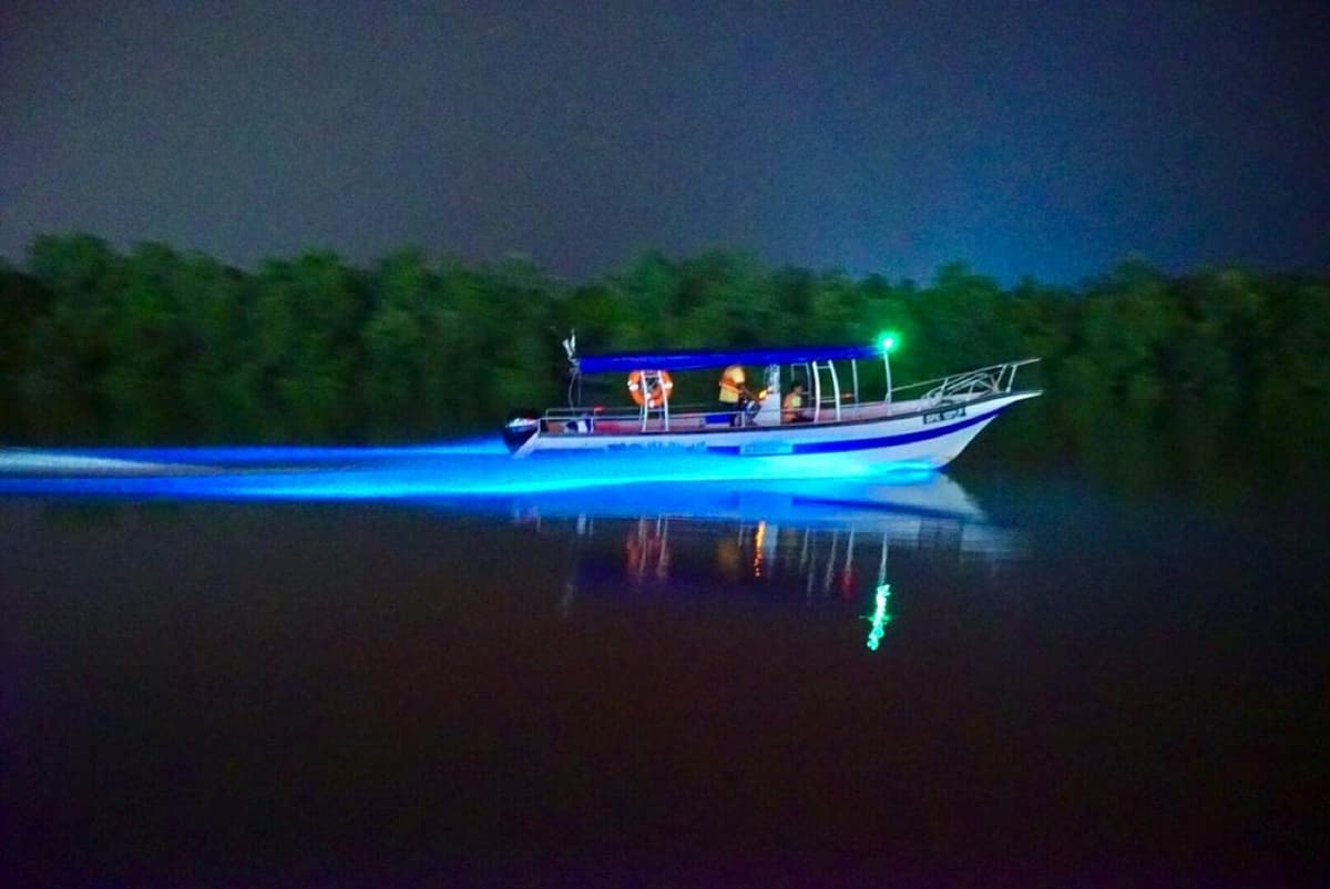 Blue Tears Boat Cruise in Kuala Selangor