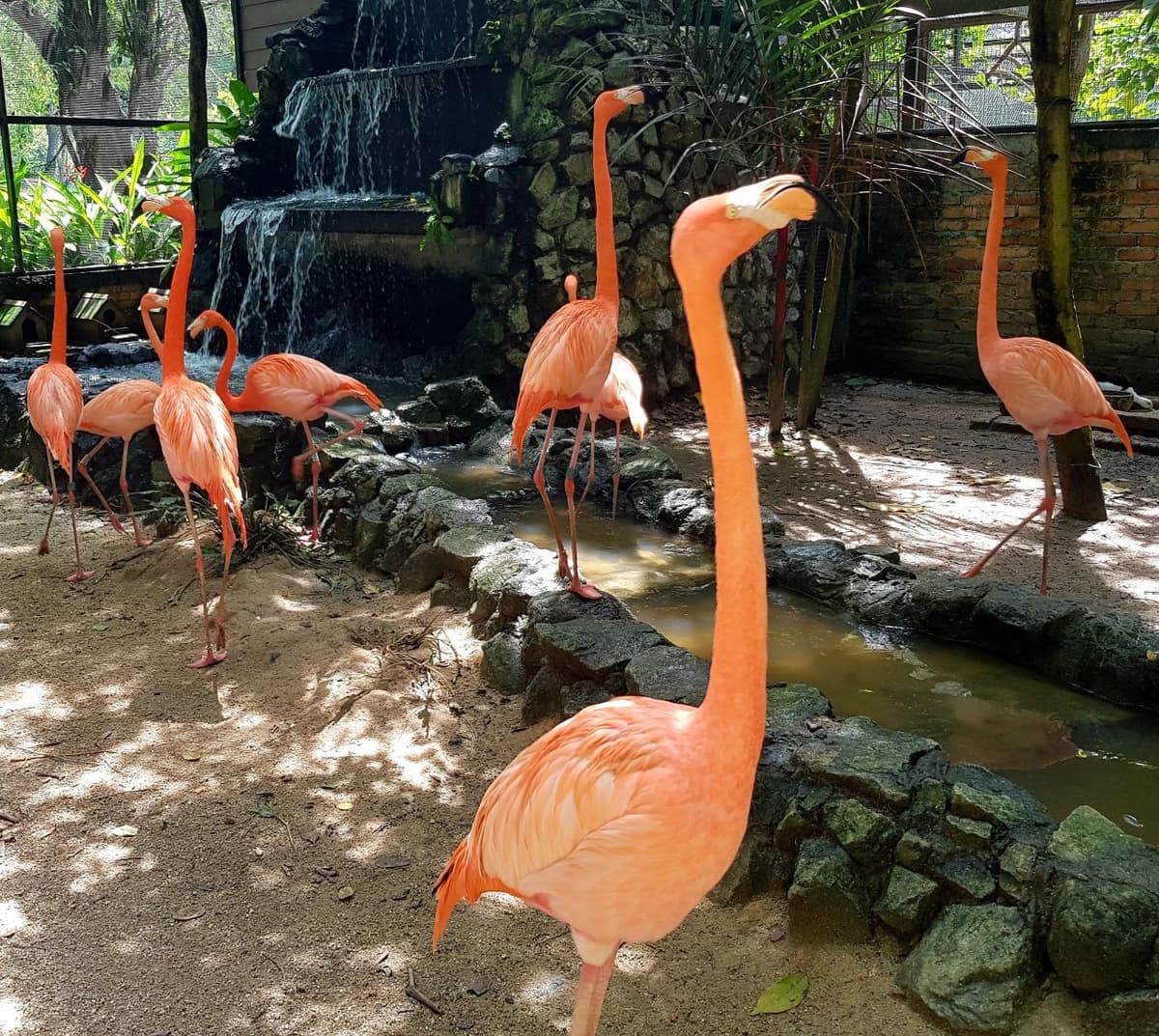 Penang Bird Park