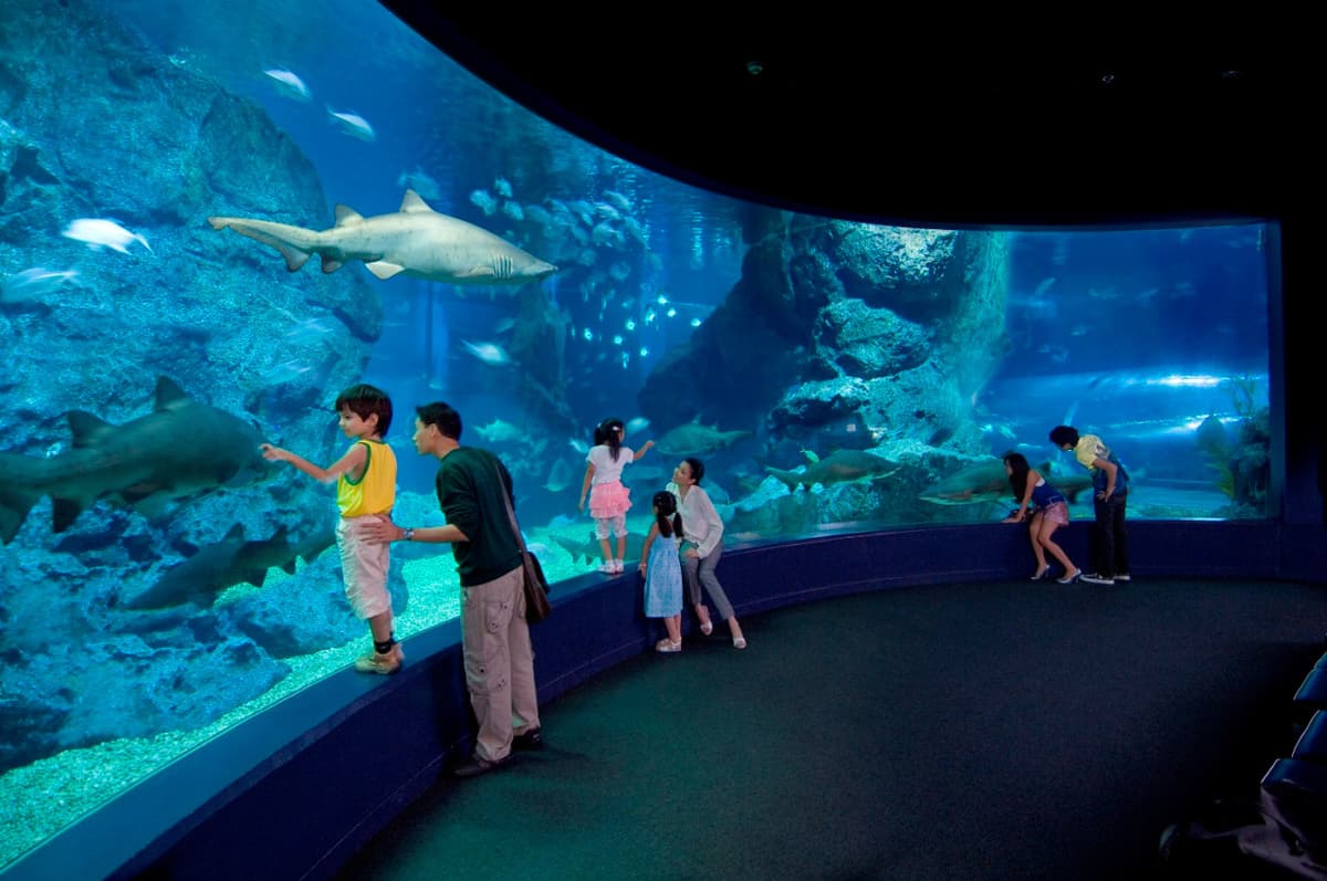 SEA LIFE Bangkok Ocean World Ticket