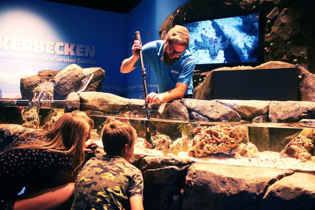 SEA LIFE Konstanz Aquarium Ticket