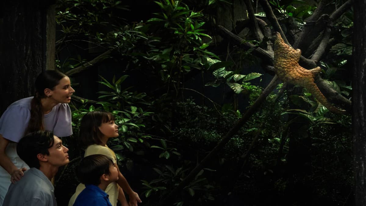 Singapore Night Safari Ticket