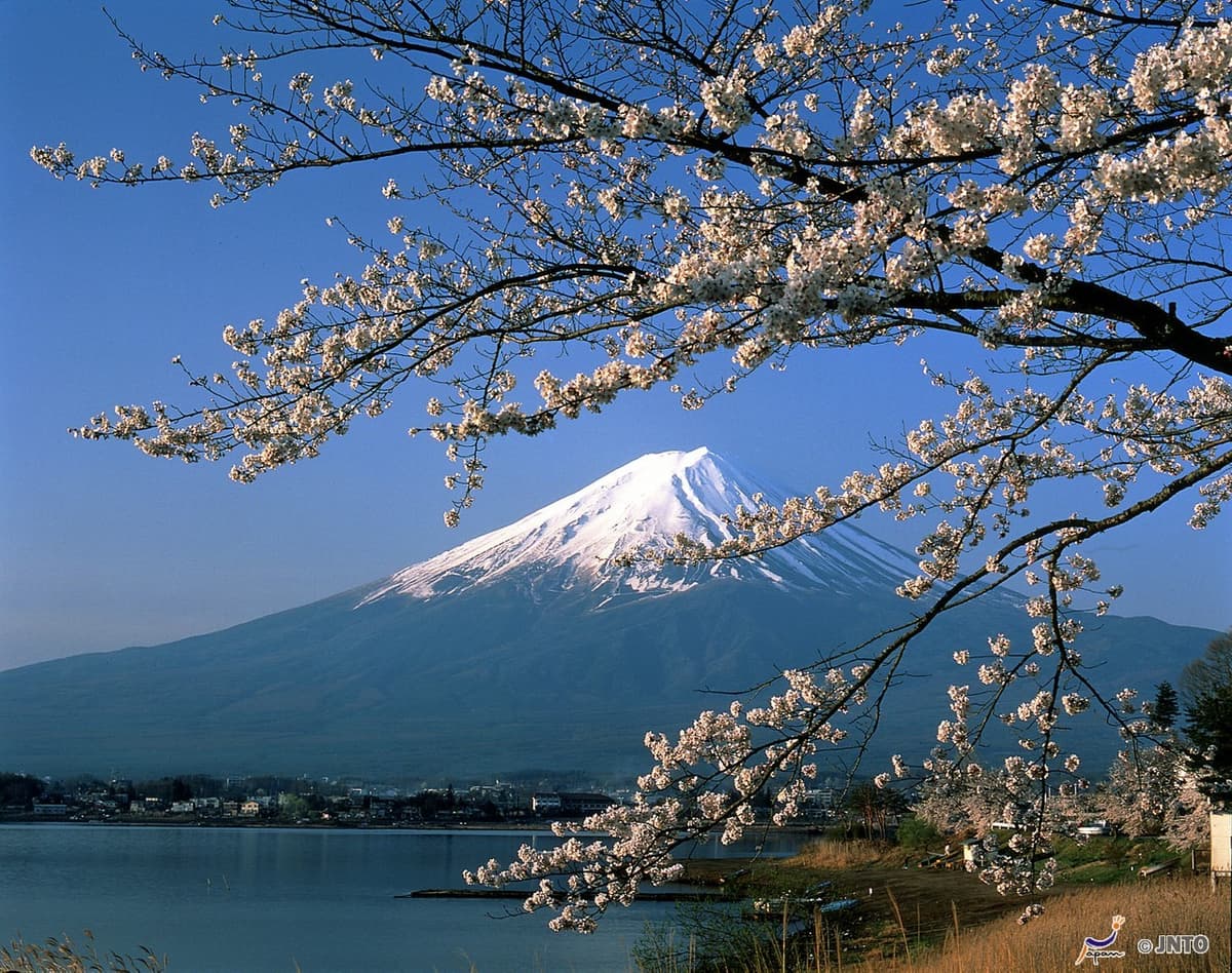 Mount Fuji G Line Full-Day Tour from Tokyo: Arakurayama Sengen Park, Lake Kawaguchi