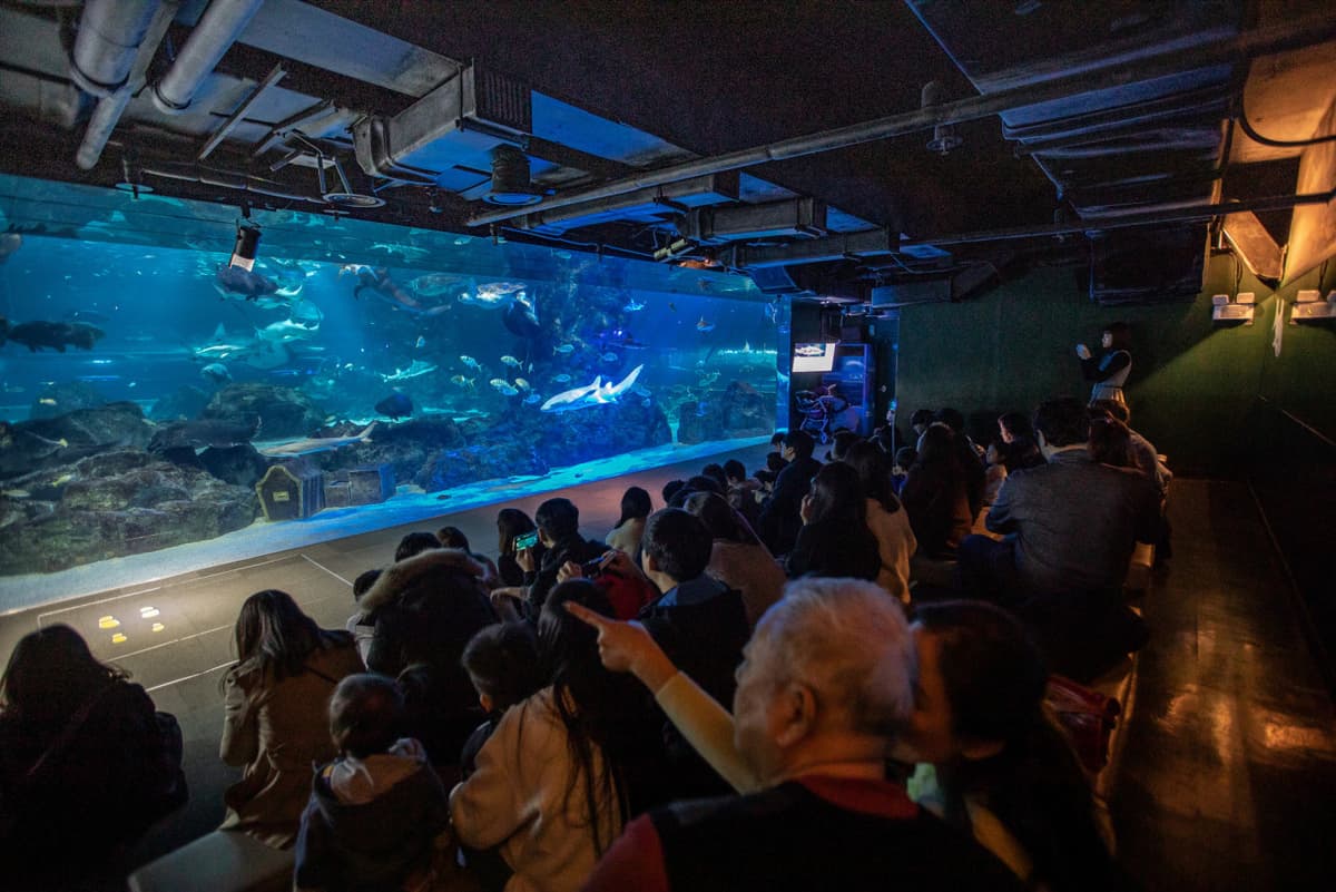 SEA LIFE COEX, Seoul Aquarium Ticket