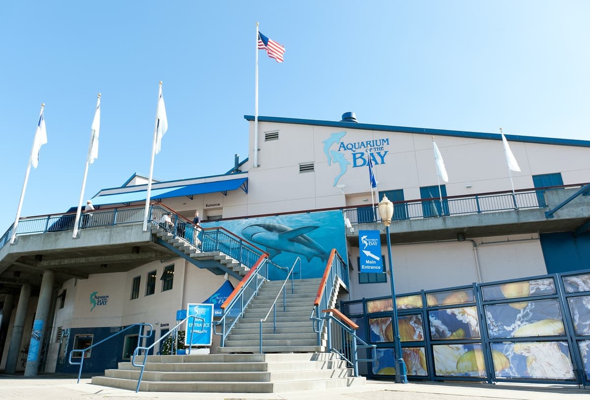 Aquarium of the Bay Ticket