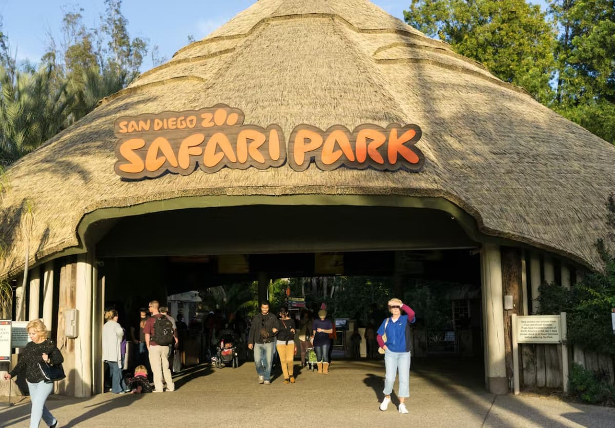 2-Visit Pass: San Diego Zoo + San Diego Zoo Safari Park Tickets