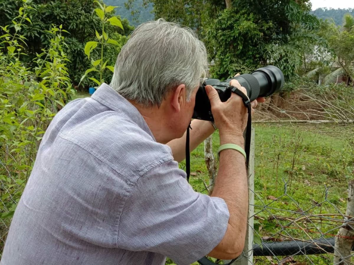 Desaru Coast Birdwatching Experience