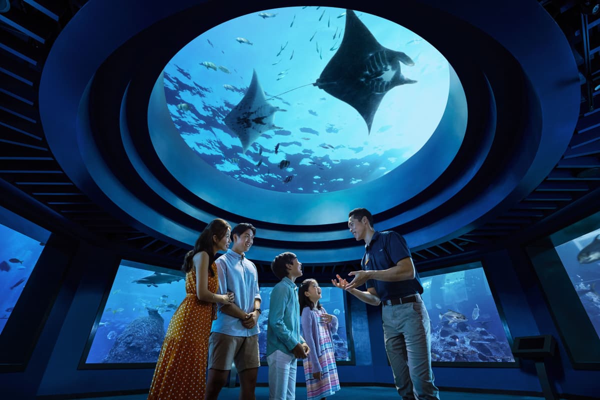 COMBO: Singapore Oceanarium + Albatross Hop-On Hop-Off Speedboat Tickets