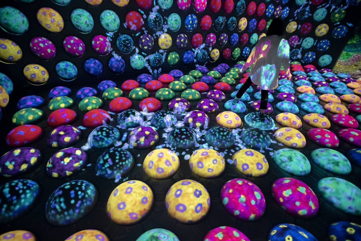 teamLab Forest Fukuoka