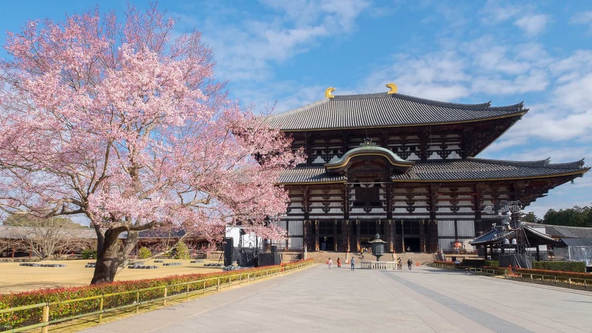 Kintetsu Rail Pass - Train & Bus Pass in Osaka, Nara, Kyoto, Mie (Ise Shima), Nagoya