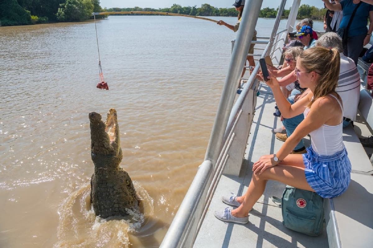 Spectacular Jumping Crocodile Cruise