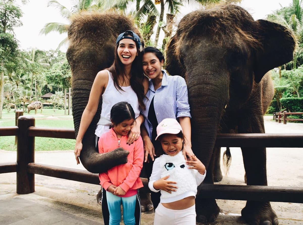 Mason Elephant Park Bali by Mason Adventures (Formerly known as Elephant Safari Park)