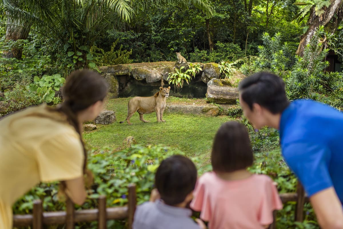 Singapore Zoo Ticket