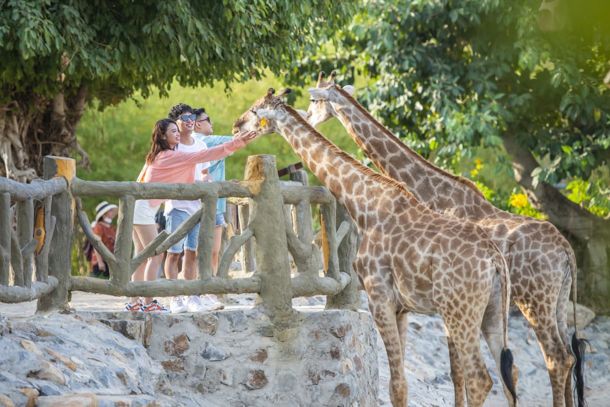 VinWonders Nha Trang Amusement Park Ticket