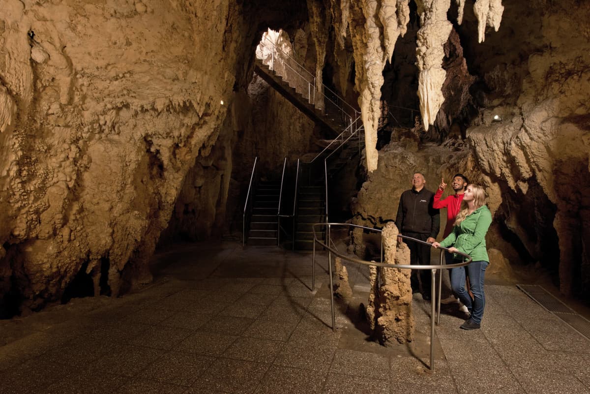 Waitomo Glowworm Caves Tour from Rotorua
