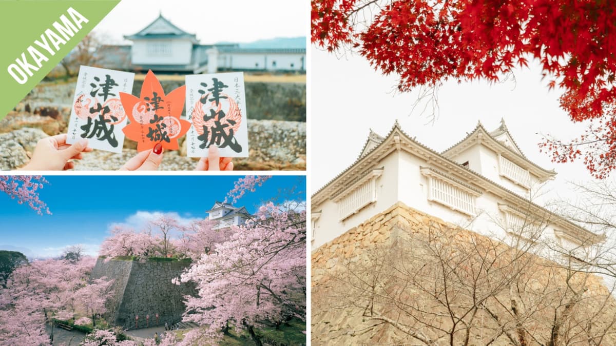 Have Fun in Okayama Pass - 1 Week Free Pass