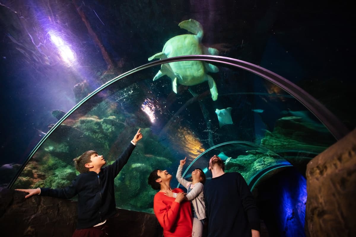 SEA LIFE London Aquarium Ticket