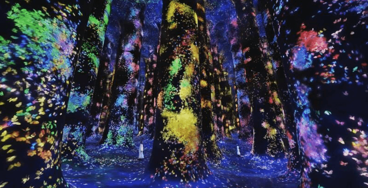 teamLab Phenomena Abu Dhabi Ticket