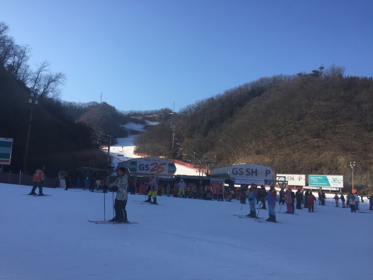 Elysian Gangchon Ski Resort and Nami Island Full-Day Tour from Seoul