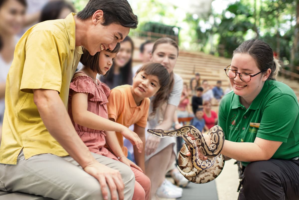 COMBO: Singapore Zoo + River Wonders Ticket