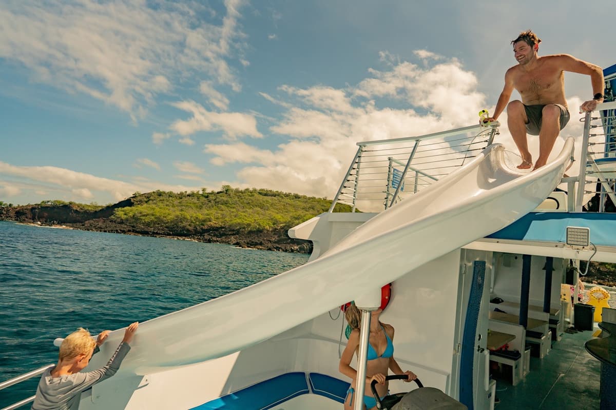 Kona Dolphin Watching Cruise with Snorkelling Experience