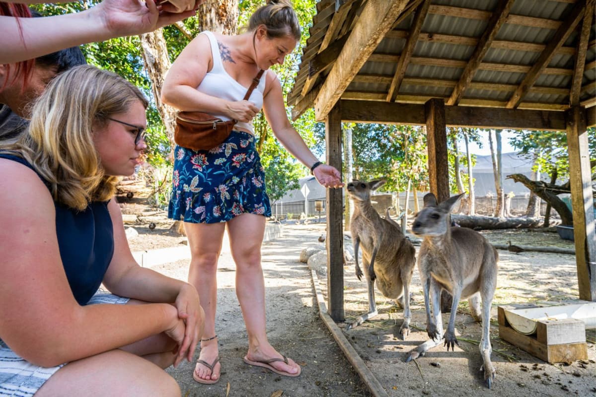 Daintree, Mossman Gorge, and Wildlife Habitat Port Douglas Full-Day Tour