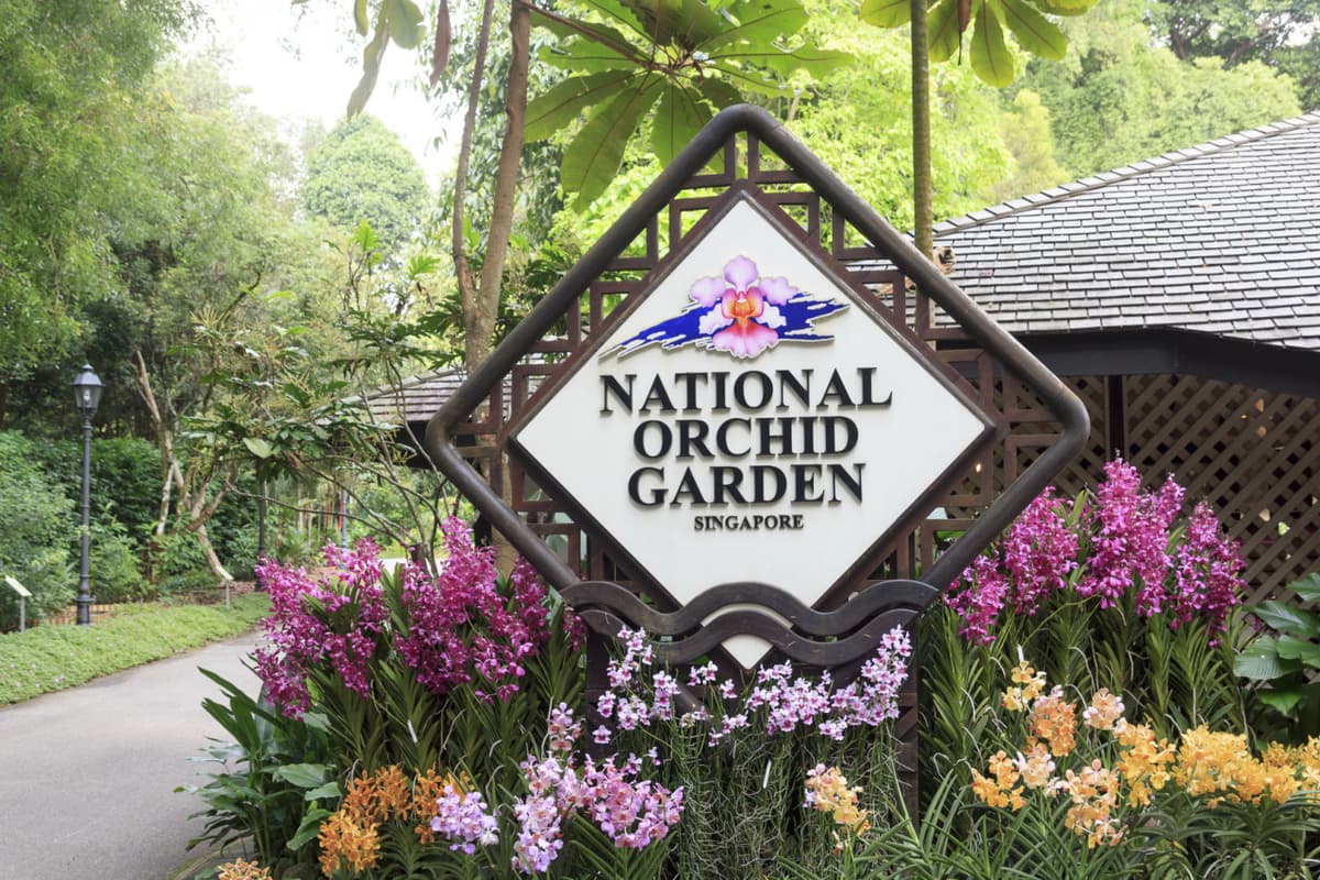 Merlion Park, National Orchid Garden, and Little India Tour