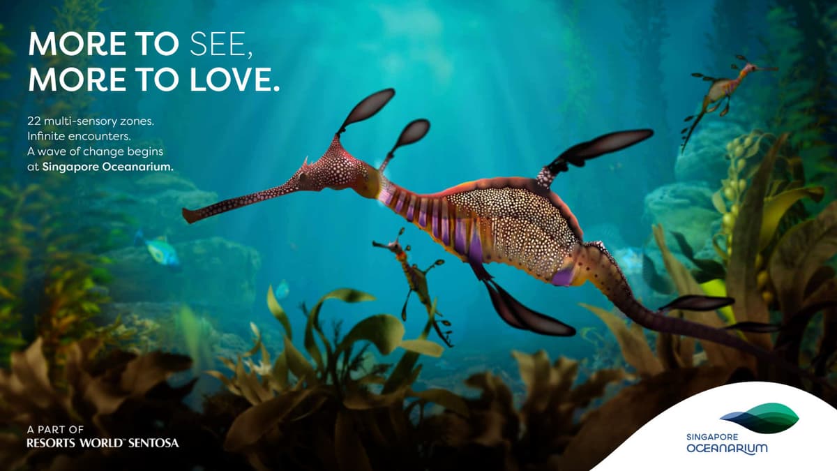 Singapore Oceanarium Insider Experience