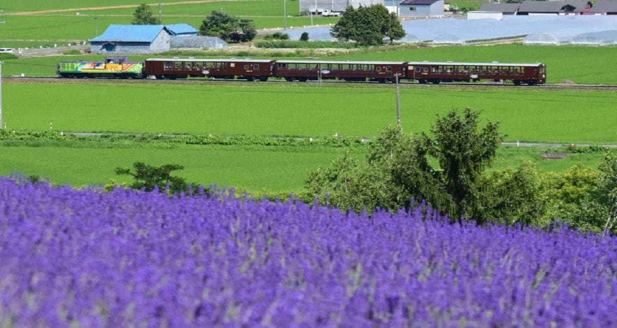 Hokkaido Sapporo-Furano Area Pass