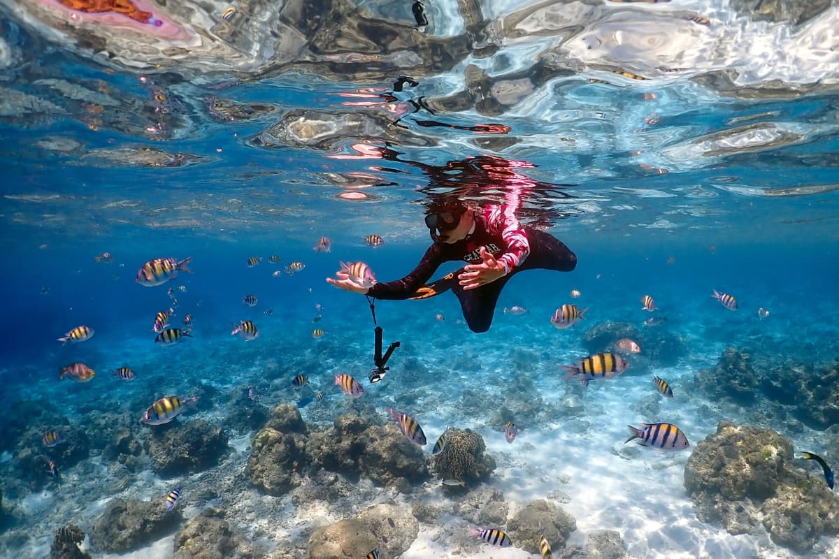 Raya Noi, Raya Yai, and Maiton Island Snorkelling Tour from Phuket