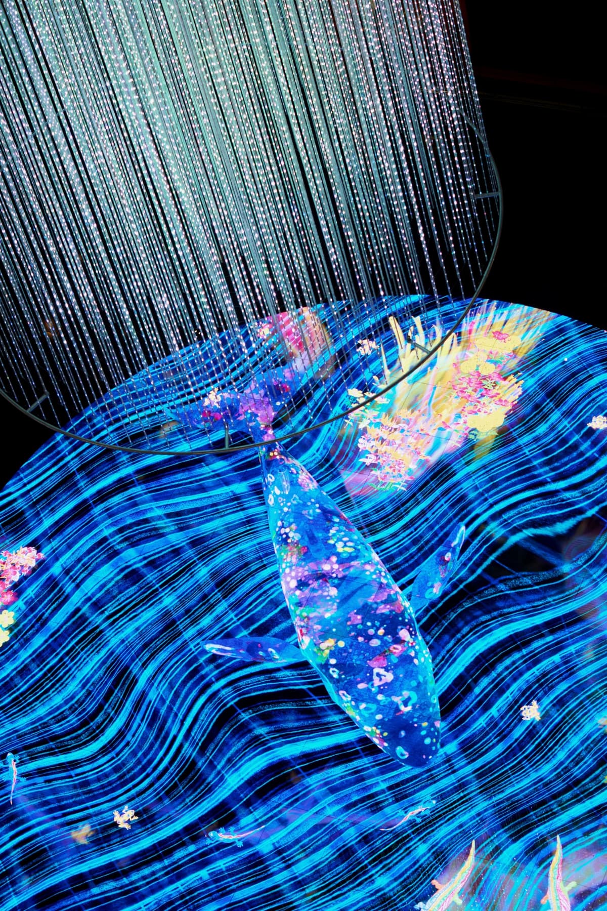 Digital Light Canvas by teamlab Ticket