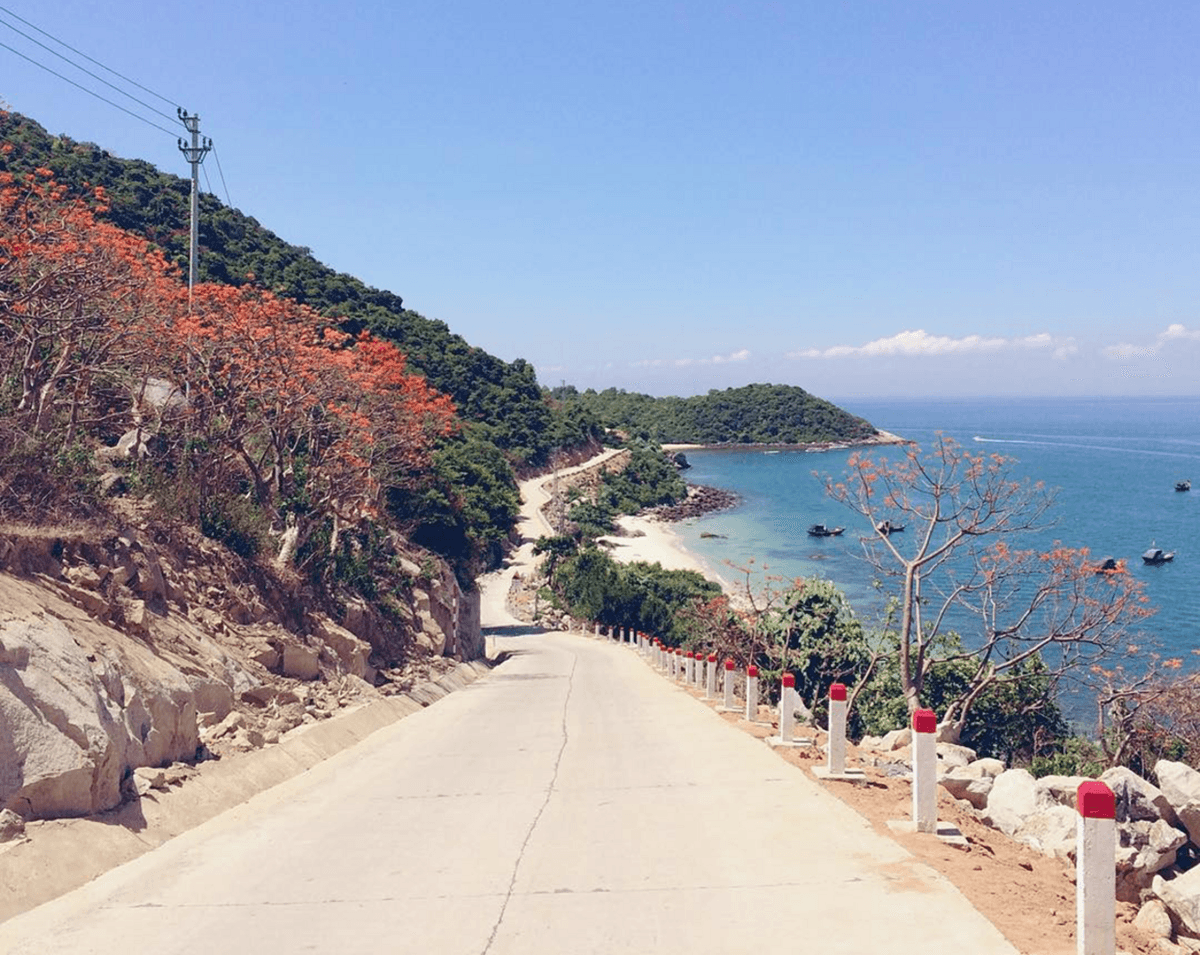 Cham Island Tour from Da Nang