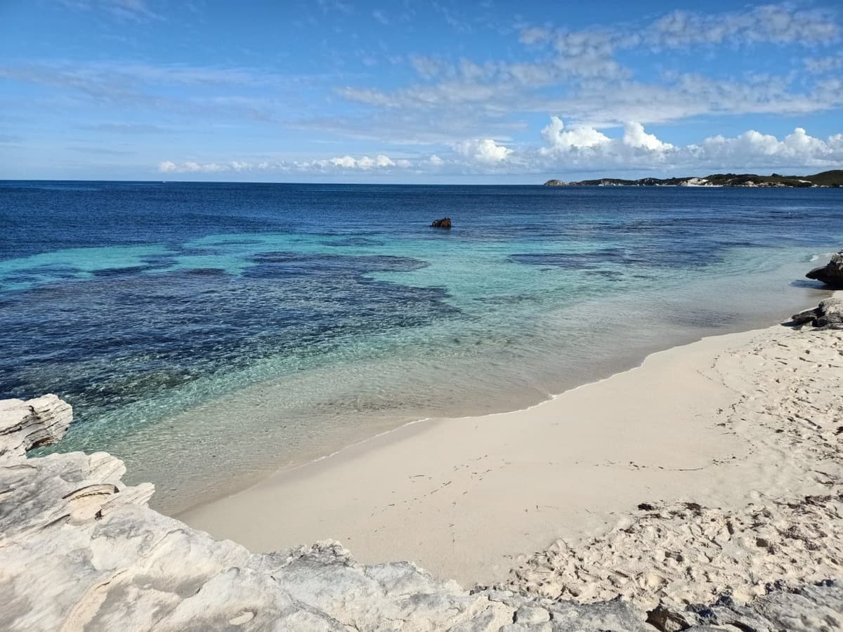 Rottnest Island Settlement Explorer Segway Tour with Round Trip SeaLink Ferry Transfer