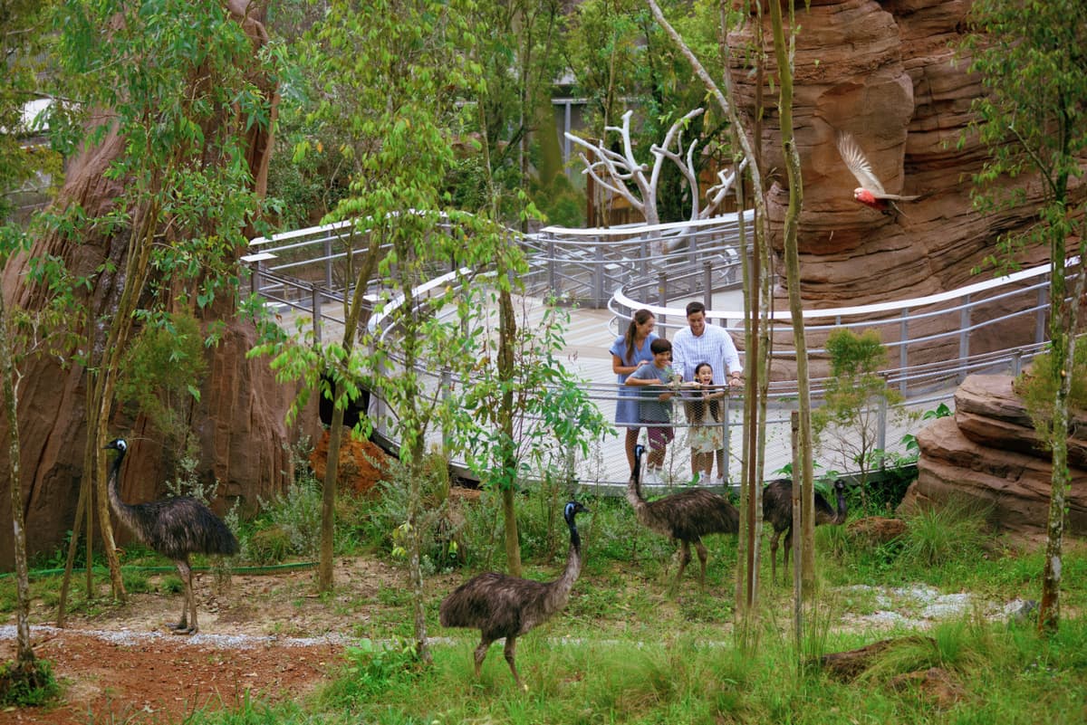 Singapore Bird Paradise Ticket