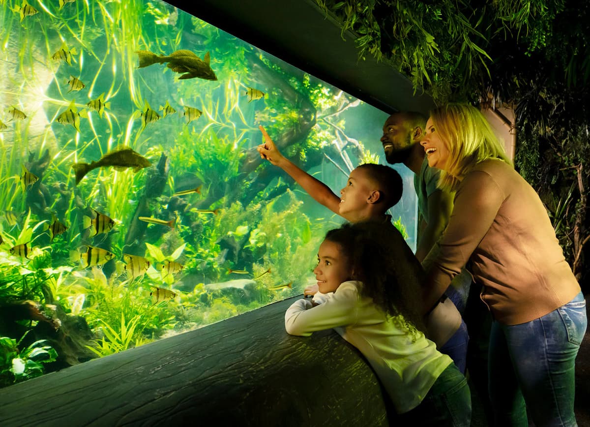 SEA LIFE London Aquarium Ticket