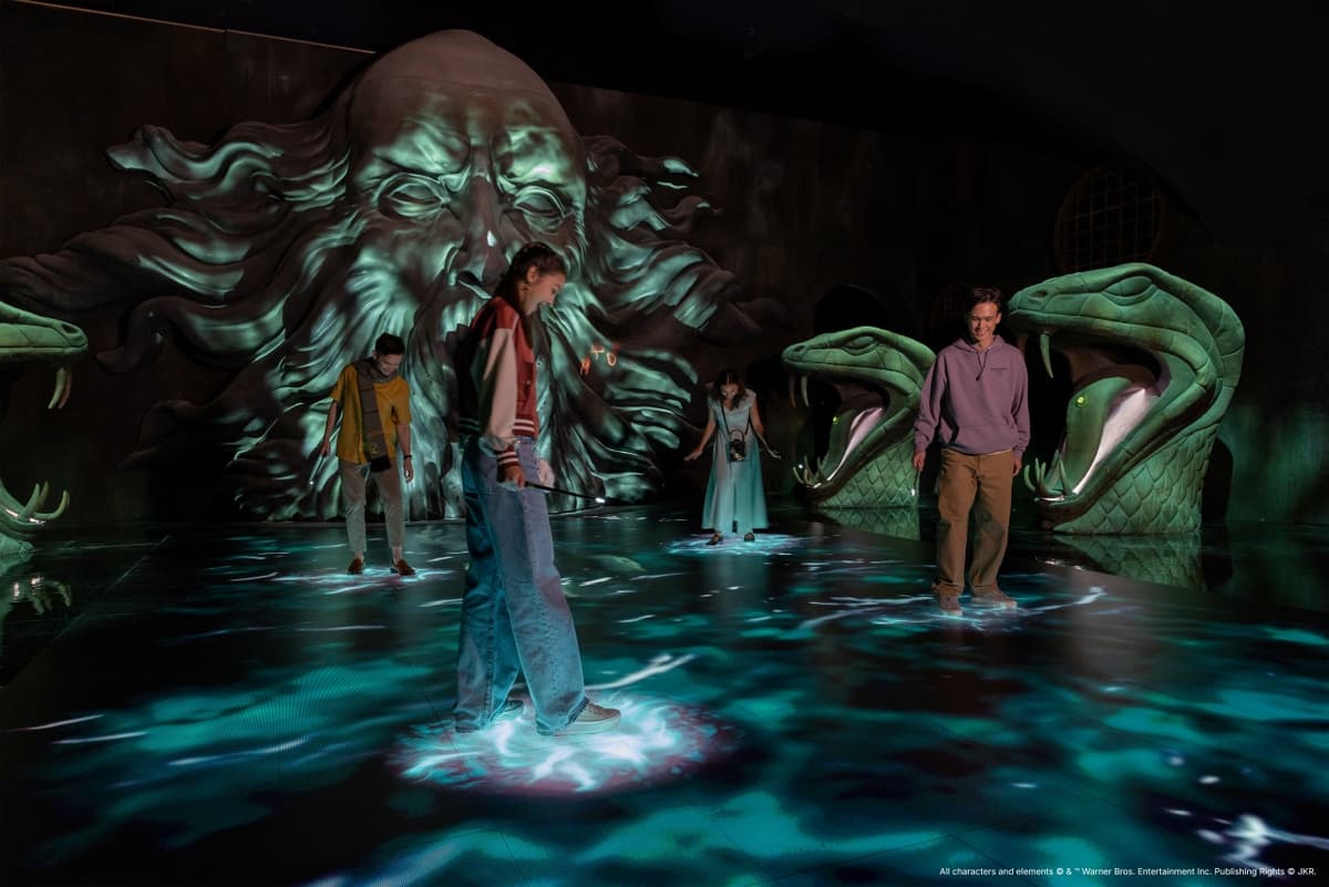 Harry Potter: Visions of Magic