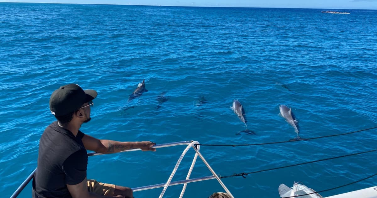 Waikiki Private Catamaran Cruise